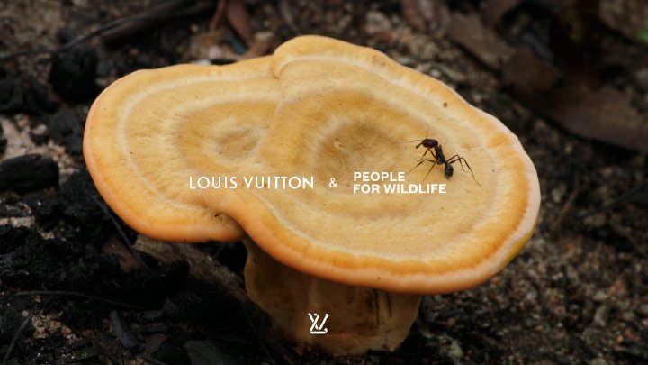 LouisVuittonxPFW