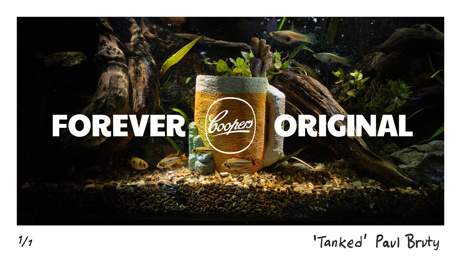 Hebel Block Aquarium Sculpture by Paul Bruty